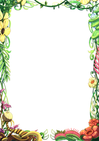 Feral Flora Border Oversleeves (70ct - 2 Size Options)