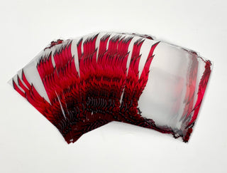 Black Thorned Rose Border Oversleeves (100ct JP/Standard)