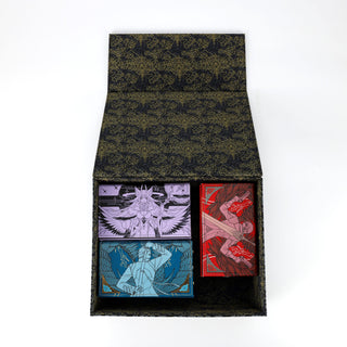 Aluna v2 Trei Storage Case